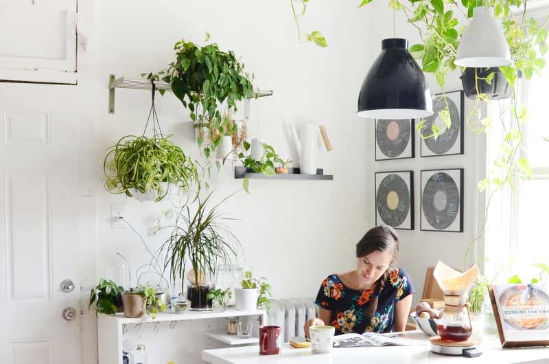 <span><a href="https://www.apartmenttherapy.com/apartment-design-inspiration-transform-your-rental-kitchen-with-plants-238720" rel="nofollow noopener" target="_blank" data-ylk="slk:A Rental Kitchen Transformed by Plants;elm:context_link;itc:0;sec:content-canvas" class="link ">A Rental Kitchen Transformed by Plants</a> (Image credit: <a href="https://www.thekitchn.com/authors/esteban" rel="nofollow noopener" target="_blank" data-ylk="slk:Esteban Cortez;elm:context_link;itc:0;sec:content-canvas" class="link ">Esteban Cortez</a>)</span>