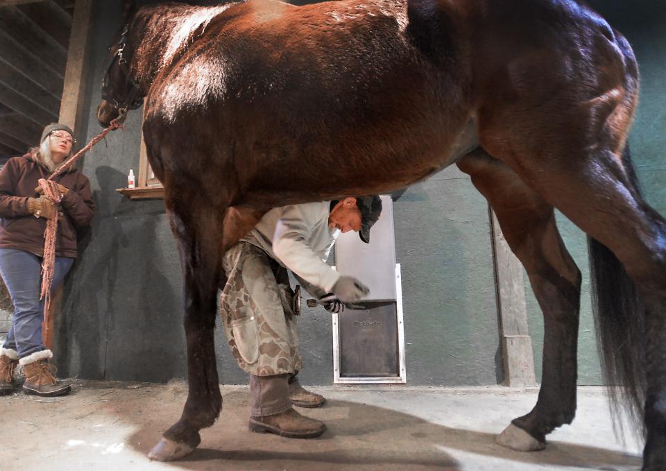 Kim Kelton, left, holds her horse Ridge as Bill Spellman, owner of Bill Spellman Farrier Services, removes nails from her hoof in North East Township on Jan. 12.