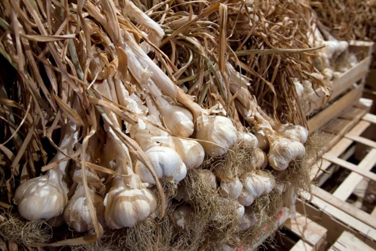 An unexpeceted consequence of the abundance of cheap cash in China's economy was that the cost of garlic jumped 80 percent on speculation last year