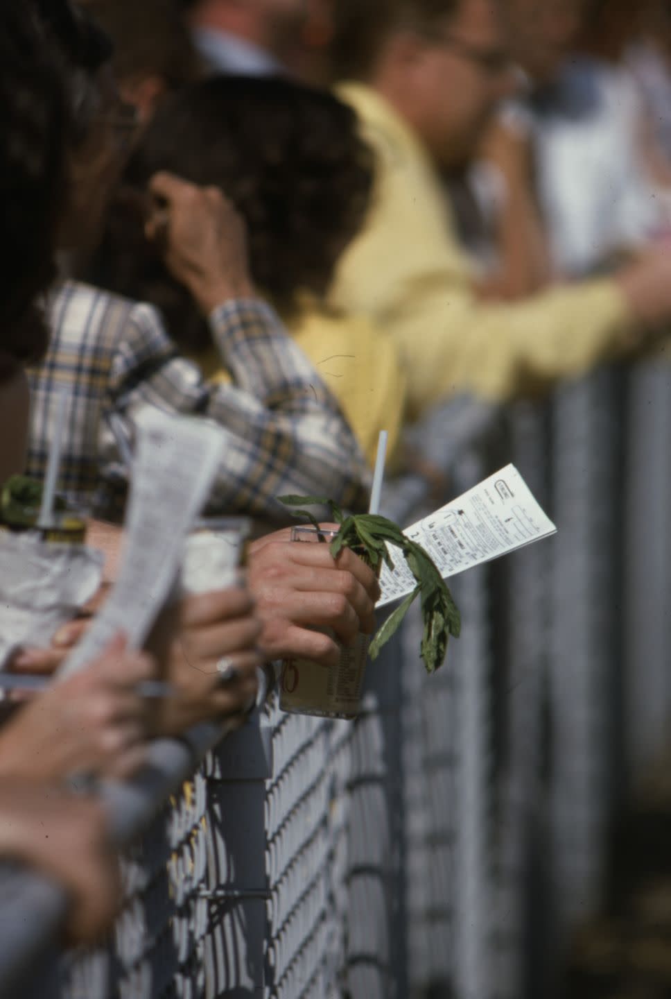 mint juleps and betting stubs at the 1975 kentucky derby
