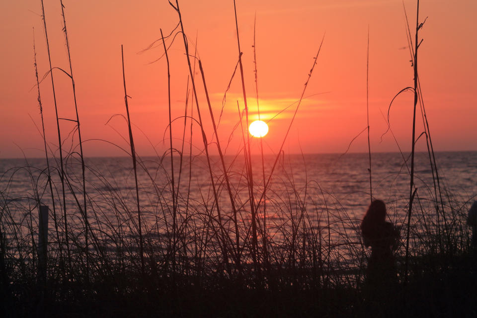 Sunset in Dunedin Florida