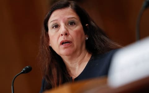 Acting US Director of Homeland Security Elaine Duke warned terrorists were planning to attack planes - Credit: AP