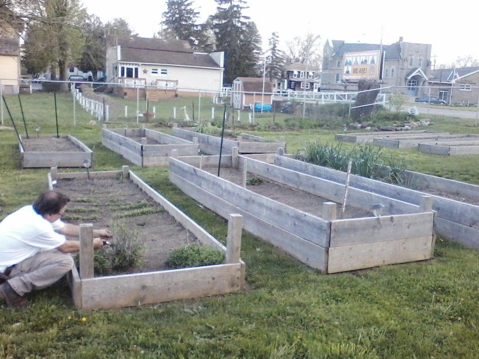 Raised beds, like these seen here on Blust Avenue in Mansfield, offer many benefits including fewer pests and weeds.