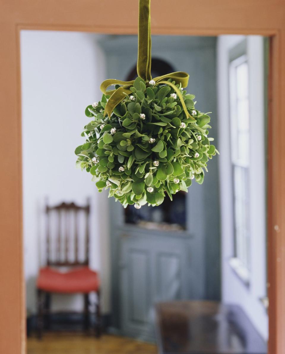 5) Mistletoe