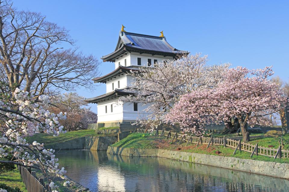 1) The trees were a gift from Mayor Yukio Ozaki of Tokyo.