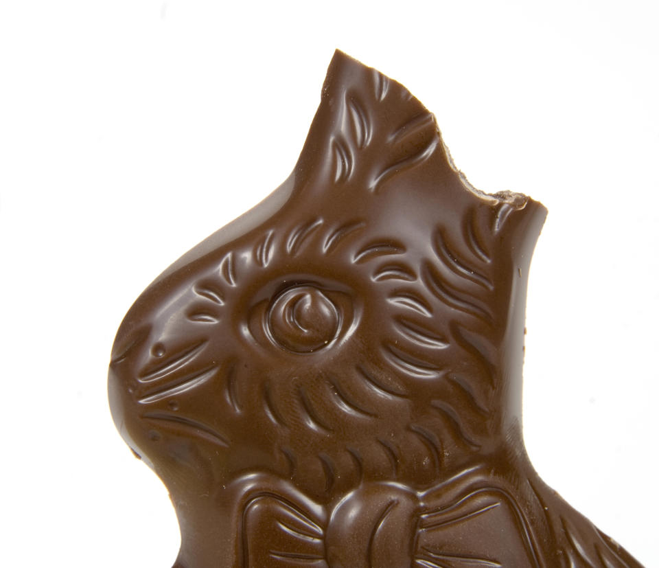 A chocolate easter bunny with the ears bitten off.