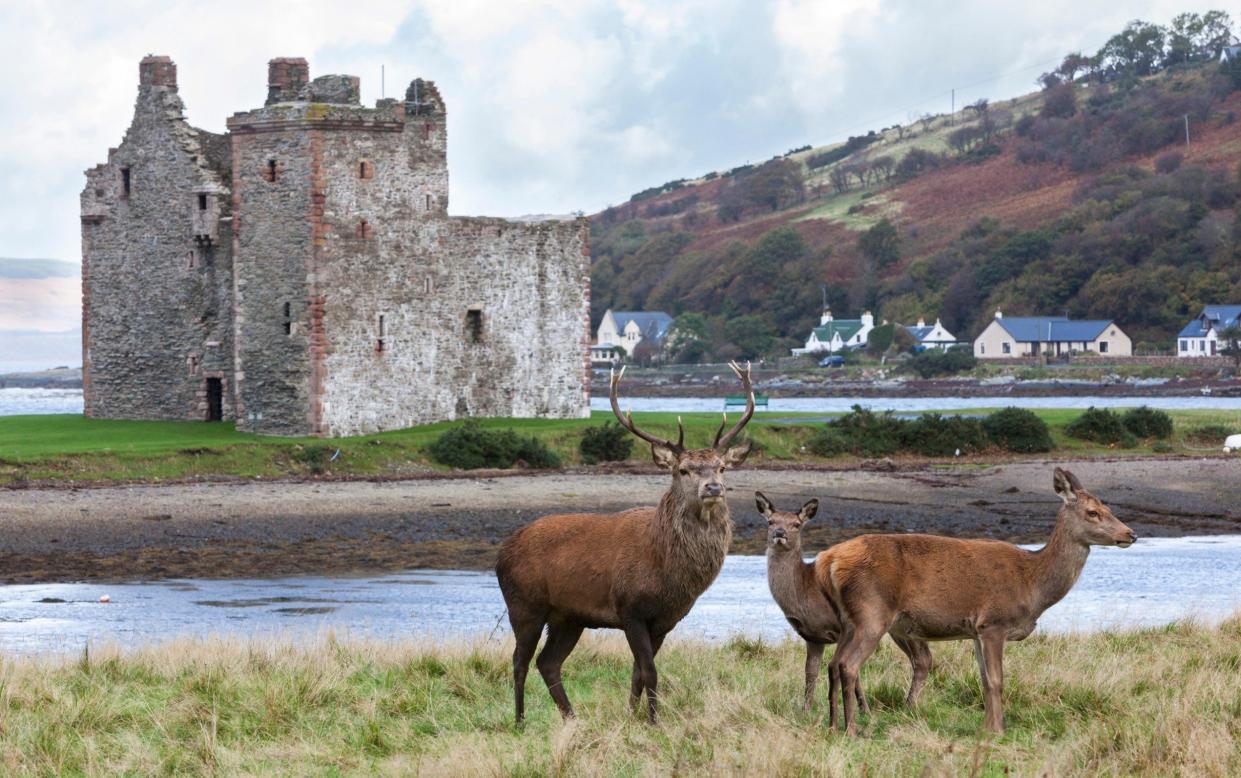 Arran island in Scotland