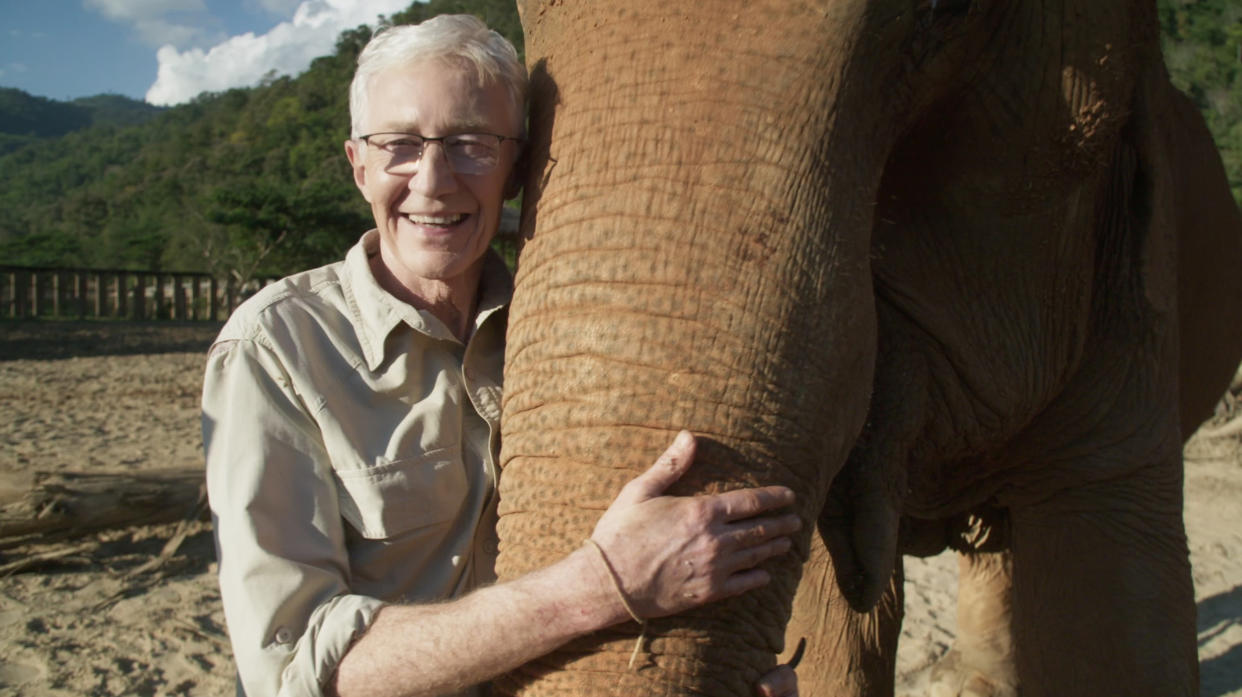 Embargoed until 00.01am on Tuesday 26 March 2024
From Olga TV and Silver Star 

PAUL OGRADYâ€™S GREAT ELEPHANT ADVENTURE
Sunday 31 March 2024 at 8pm on ITV1 and ITVX

Pictured: Paul Oâ€™Grady meets the Elephants at The Elephant Nature Park, which is the largest elephant rescue centre in Thailand,

In this opening episode, Paul travels to the hills surrounding the ancient city of Chiang Mai, 400 miles north of Bangkok and known as the elephant capital of Thailand. He visits The Elephant Nature Park, which is the largest elephant rescue centre in Thailand,
providing refuge and a retirement home for ex-working elephants since it was founded over 20 years ago.

Next, Paul heads to Sukhothai to meet extraordinary British expat Katherine who quit the rat-race in London to set up Boon Lotts Elephant sanctuary in rural Thailand 15 years ago. This stunning 500- acre jungle playground is home to her nine elephants, and she takes on the challenge of teaching Paul how to become a mahout, an elephant handler.

Charged with looking after three of Katherineâ€™s elephants, aka the Gossip Girls who all have foot problems that need constant attention, Paul is also given a crash course on how to use a machete, as well as learning the unusual vocabulary that man and elephant share â€“ to mixed results...

While in the area, Paul also pays a visit to the Friends of the Asian Elephant hospital, the worldâ€™s first ever elephant hospital. Here he meets the extraordinary elephant Motala, who lost a leg after standing on a land mine. Now recovered, Paulâ€™s on hand to help take her out for a walk â€“ with the use of an extraordinary prosthetic leg.

(C) Olga TV and Silver Star 

For further information please contact Peter Gray
Mob 07831460662 /  peter.gray@itv.com

This photograph is (C) *** and can only be reproduced for editorial purposes directly in connection with the programme or event mentioned herein.

Once made available by ITV plc Picture Desk, this photograph can be reproduced once only up until the transmission [TX] date and no reproduction fee will be charged.

Any subsequent usage may incur a fee.

This photograph must not be manipulated [excluding basic cropping] in a manner which alters the visual appearance of the person photographed deemed detrimental or inappropriate by ITV plc Picture Desk.

This photograph must not be syndicated to any other company, publication or website, or permanently archived, without the express written permission of ITV Picture Desk.

Full Terms and conditions are available on the website www.itv.com/presscentre/itvpictures/terms
