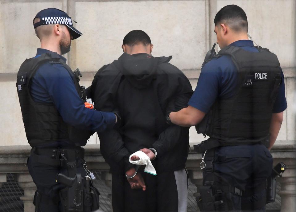 A man is held by police in Westminster after an arrest was made on Whitehall in central London - Credit: REUTERS/Toby Melville