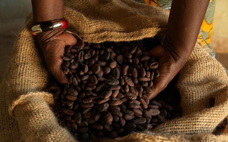 Analysts thinks some major chocolate producers may feel 'short changed' after cocoa harvests were hit