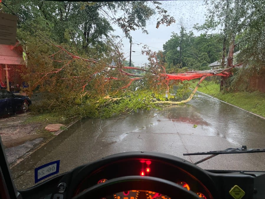 A downed tree in Lufkin. Photo courtesy of the City of Lufkin.