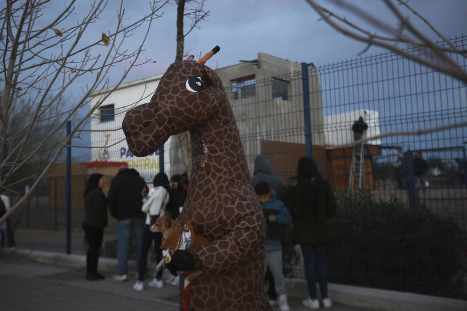 Fans de la jirafa Benito en el zoológico estatal Parque Central antes de su traslado a un nuevo hábitat, en Ciudad Juárez, México, el domingo 21 de enero de 2024. Después de presiones de grupos ambientalistas, Benito es trasladado desde la frontera norte, donde permanecía sola y expuesto a frías temperaturas impropias de su hábitat natural, hacia el centro del país para encontrarse con un rebaño de otros siete ejemplares en un centro de conservación con décadas de experiencia en la fauna silvestre. (AP Foto/Christian Chávez)