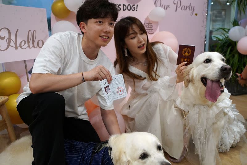 Dog wedding in Shanghai