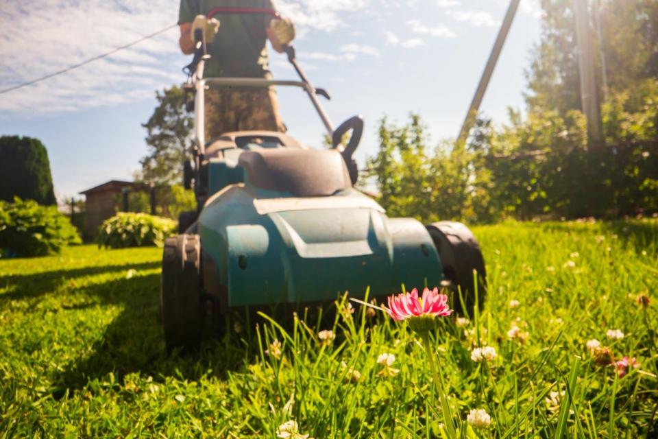 A close up of a lawn mower in use. 