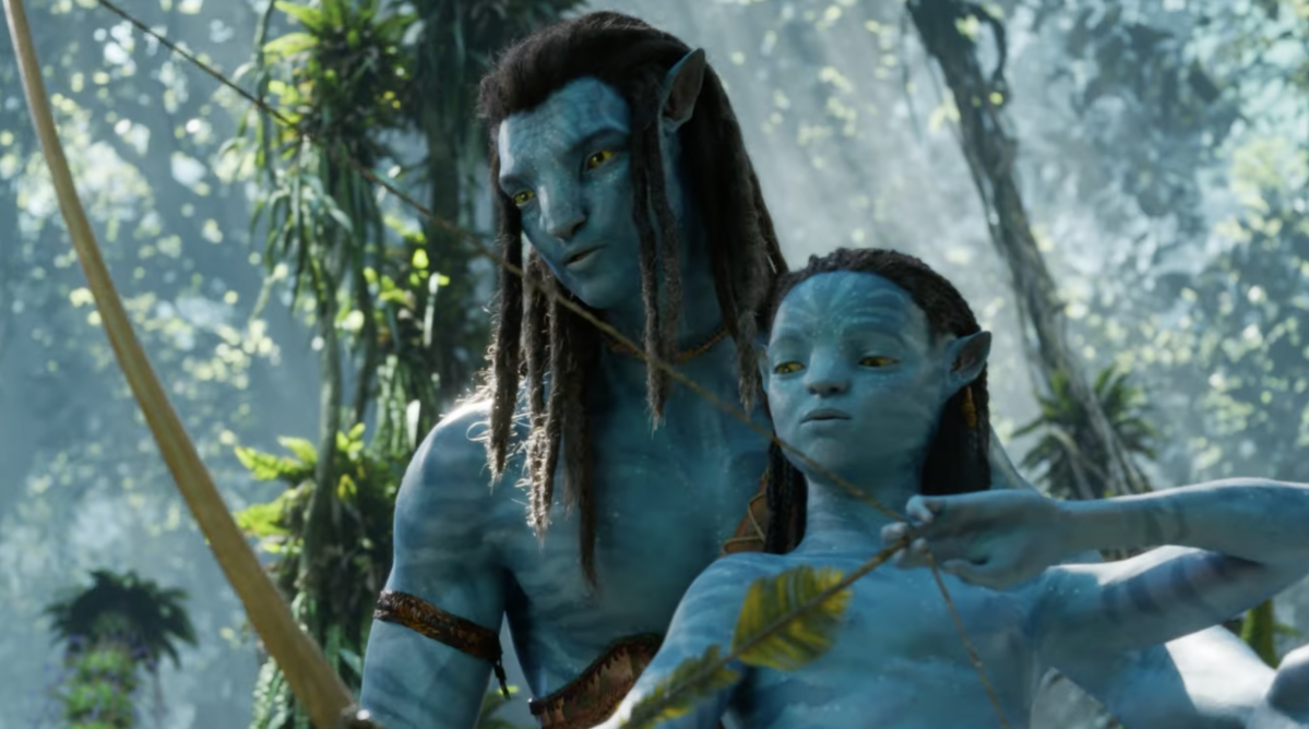 Neytiri Sully in 2023  Zoe saldana avatar, A hat in time, Avatar