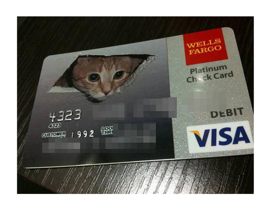 Katzenliebhaber sind bei dieser Debit Visa Kreditkarte genau richtig. (Bild-Copyright: Debit Card/Visa)