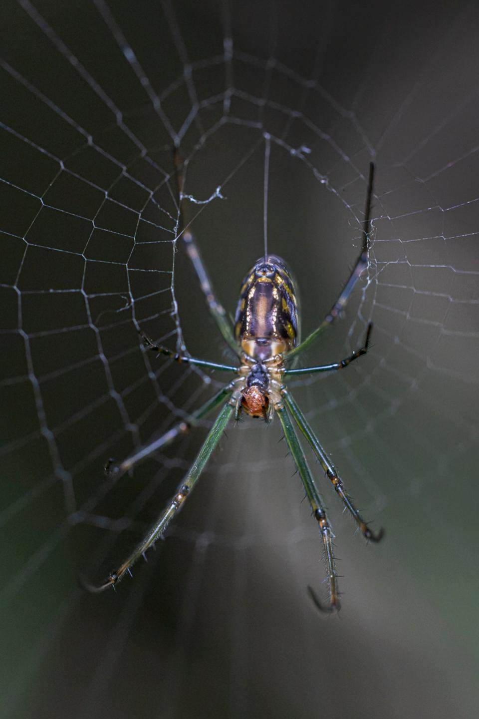 Mantra: “Breathe deeply… breathe slowly,” Australia (twigs/Blipfoto)