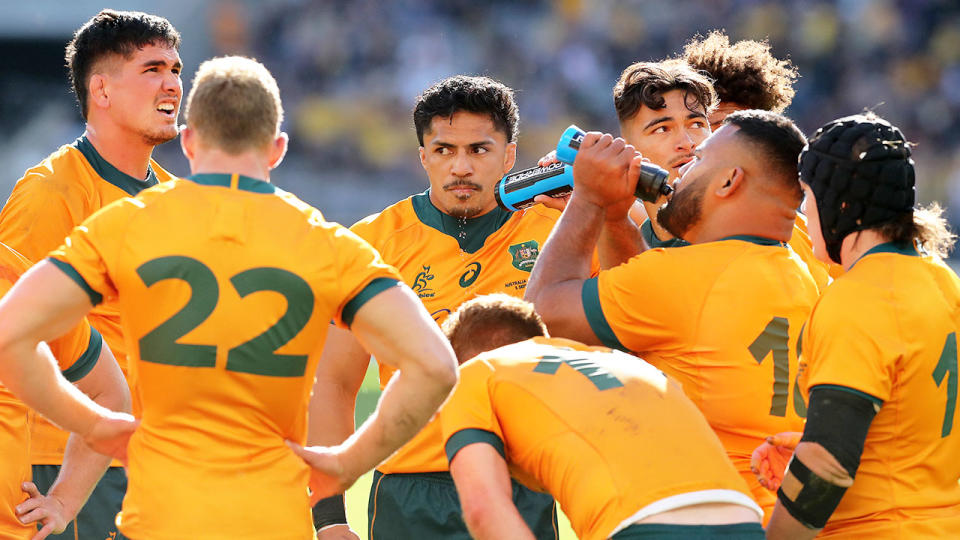 Pictured here, Wallabies look on during a Bledisloe Cup Test against the All Blacks. 