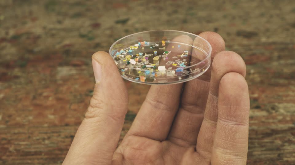 Tiny plastic fragments are increasingly sneaking into our brains, study says

 – Science News (Trending Perfect)