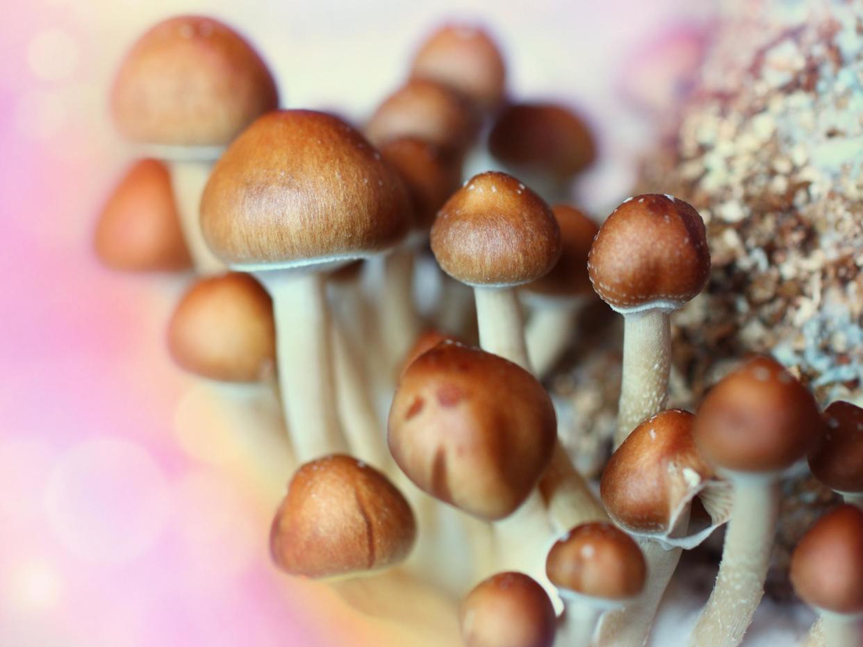 A chemical in magic mushrooms could be used to treat mental illness: iStock