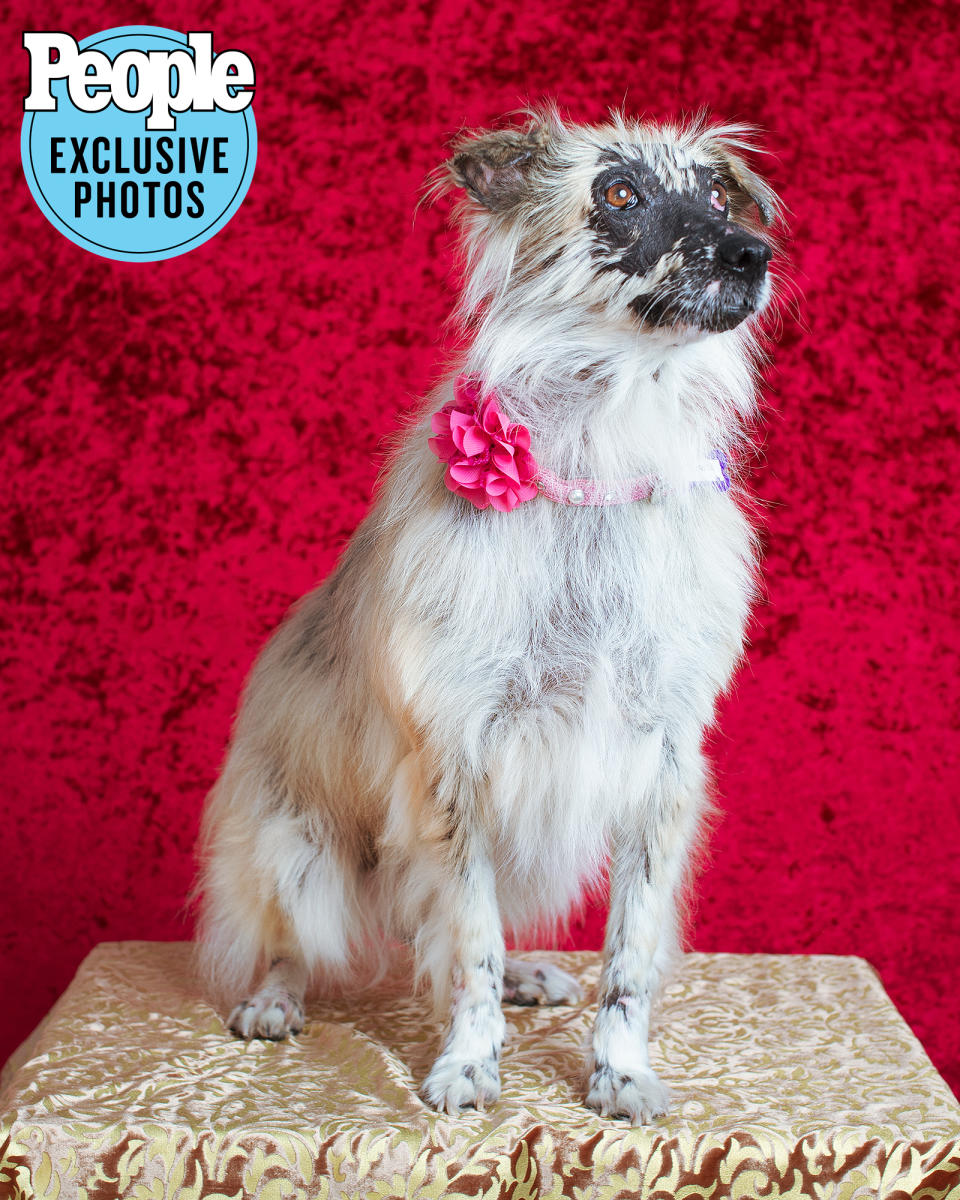 <p>Morita looked pretty in pink after scoring fourth in the 2022 Ugliest Dog Contest.</p>