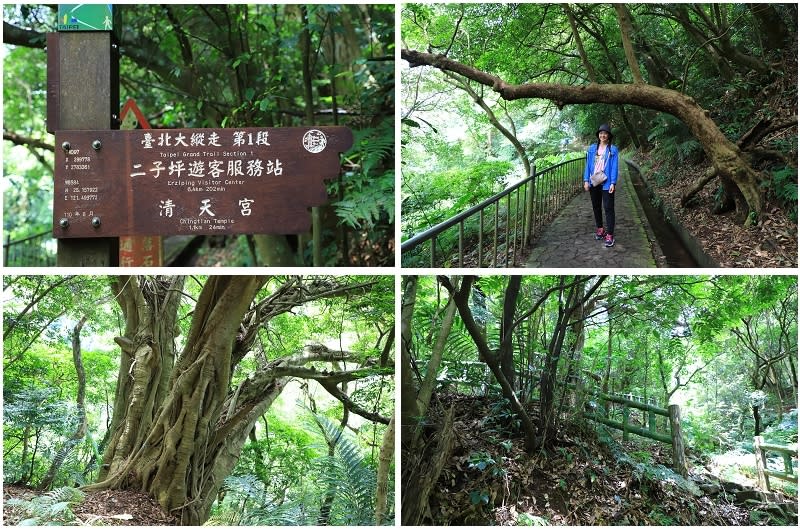 臺北大縱走第一段｜二子坪步道+貴子坑步道