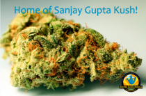 sanjay gupta kush 