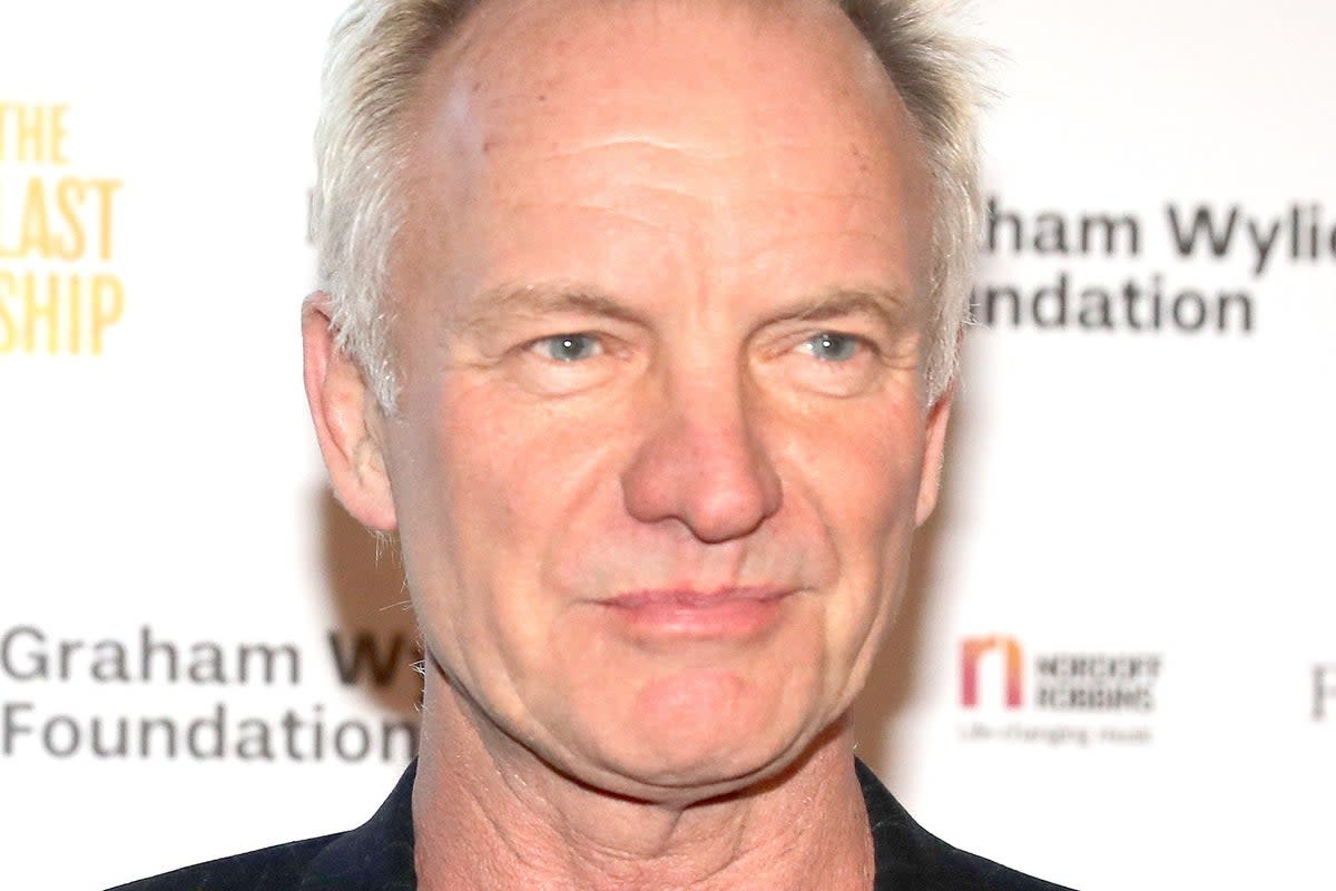 Sting, 71, spoke out about the rise of AI and said musicians should be wary of its dominance in the coming years  (PA Archive)