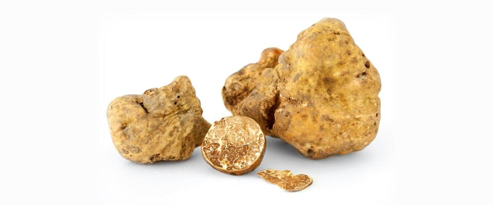 White truffles come from Italy's Piedmont district.