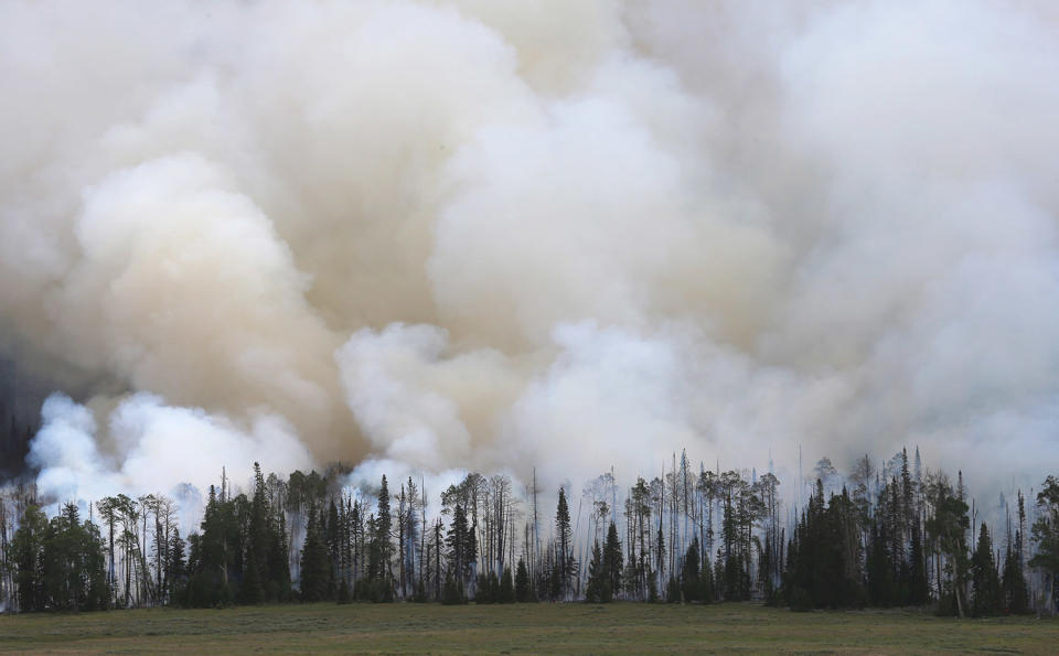 <p>Smoke bellows from a stand of trees from a wildfire that is burning in the area on June 25, 2017 outside Panguitch, Utah. The fire named the “Brian Head Fire” started last week and has burned more then 43,000 acres and destroyed 13 homes as of June 25th. (George Frey/Getty Images) </p>