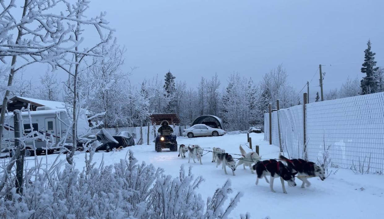 Rhonda Kotelko, a 1st-time entrant in the Yukon Quest this year, heads off on a training run with her 8 dogs, using a quad instead of her sled. Training for the race next month has been challenging so far, with mild weather conditions and relatively little snow in the Whitehorse area.  (Katie Todd/CBC - image credit)