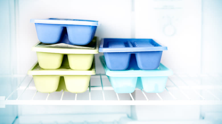 ice cube trays in freezer