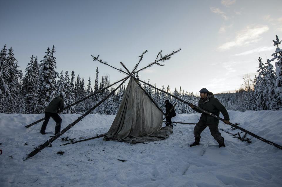 Three people use tree trunks to raise a shelter