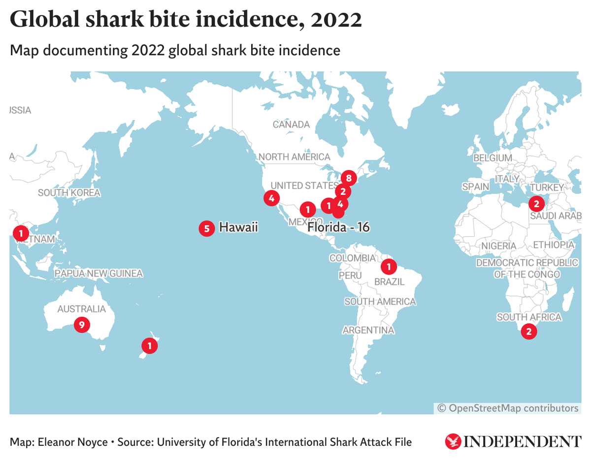 Shark attacks are generally rare overall, with confirmed unprovoked cases totalling 57 worldwide in 2022, according to the ISAF (The Independent/Datawrapper)