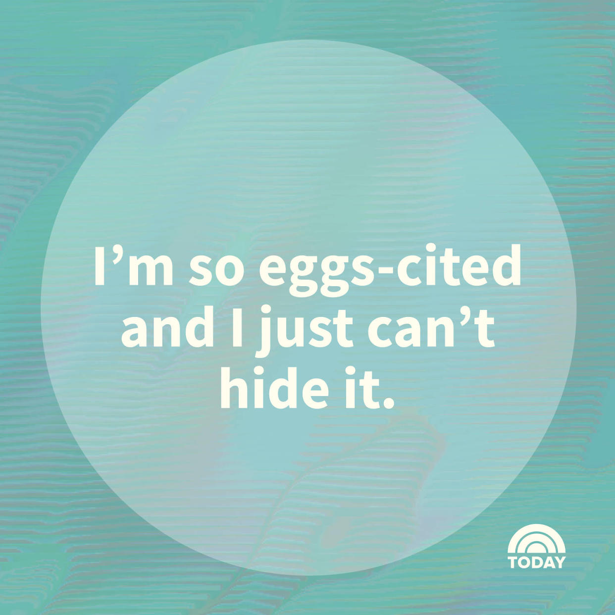 Egg Puns