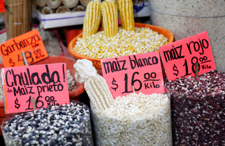 FILE PHOTO: Sacks of different varieties of corn grain are displayed at a market in Mexico City, Mexico, May 19, 2017. REUTERS/Henry Romero/File Photo