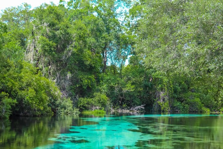 fresh water springs florida