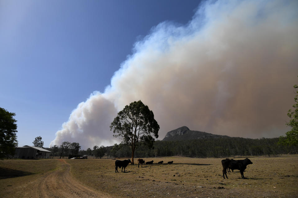 Smoke from an out-of-control bushfire is seen near Clumber, Queensland, Friday, November 8, 2019. Extreme fire warnings are in place for parts of south east Queensland with high temperatures and strong winds. (AAP Image/Dan Peled) NO ARCHIVING