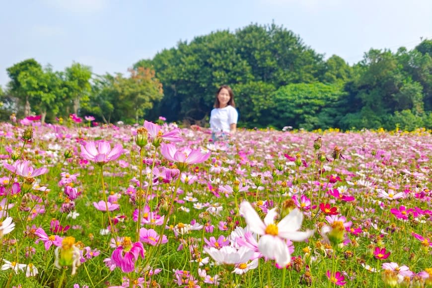 彰化｜田尾迎賓祭