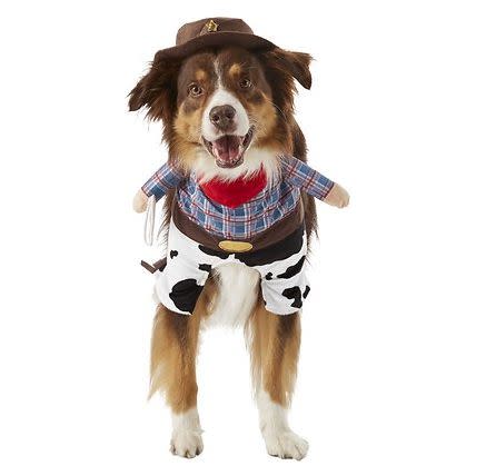 Get this <a href="https://fave.co/37cdrXP" target="_blank" rel="noopener noreferrer">Frisco Front Walking Cowboy Dog &amp; Cat Costume for $17</a> at Chewy. It's available in size extra-large and has a cute cowboy hat.