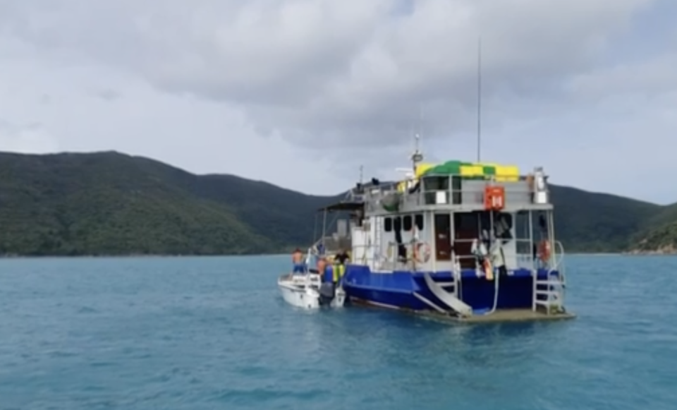 Matt's group were diving for sea cucumbers at the time. Source: 7News