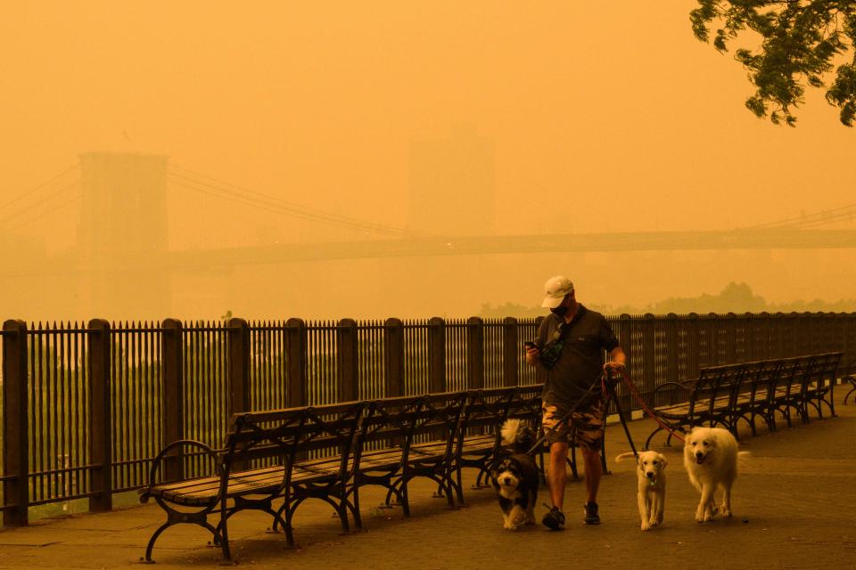 A person walks dogs in the hazy smoke of wildfires in Canada 