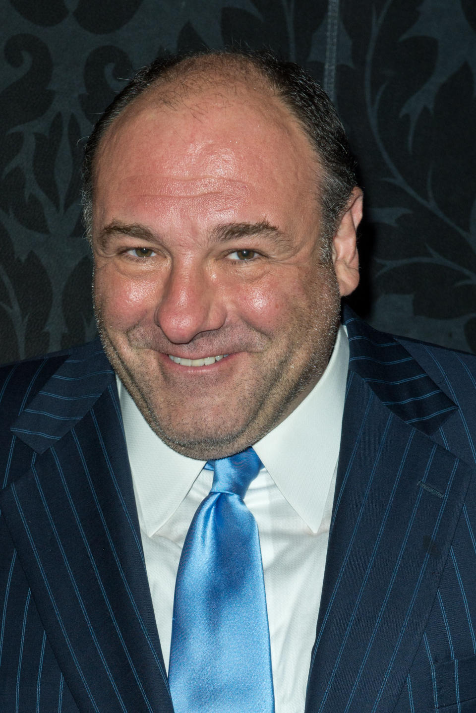 James Gandolfini, best known for his role on "The Sopranos," died in Italy on June 19, 2013 after suffering from a heart attack.