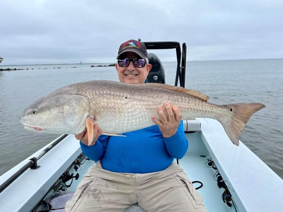 Redfish like this one caught and released March 15, 2024 have been feeding aggressively in the Mosquito Lagoon and northern Indian River Lagoon.