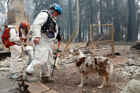 Trish Moutard (C), of Sacramento, searches for human remains with her cadaver dog, I.C., in a house destroyed by the Camp Fire in Paradise, California, U.S., November 14, 2018. REUTERS/Terray Sylvester