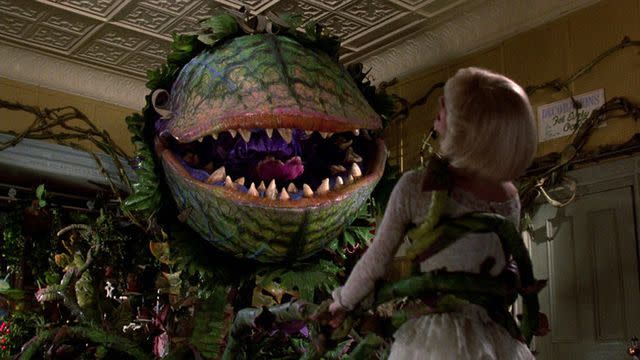 Image Courtesy of VIFF The 'Little Shop of Horrors' movie