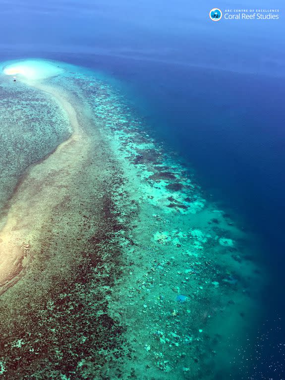 Aerial view of a severely bleached reef.
