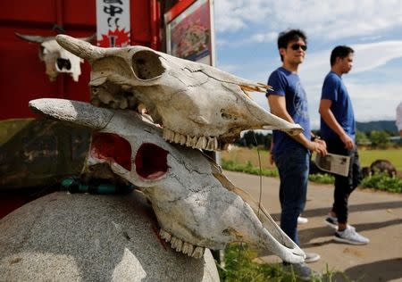 Tourists from Philippines walk past irradiated cattle skulls at the Farm of Hope, near Tokyo Electric Power Co's (TEPCO) tsunami-crippled Fukushima Daiichi nuclear power plant, in Namie town, Fukushima prefecture, Japan May 17, 2018. Picture taken May 17, 2018. REUTERS/Toru Hanai