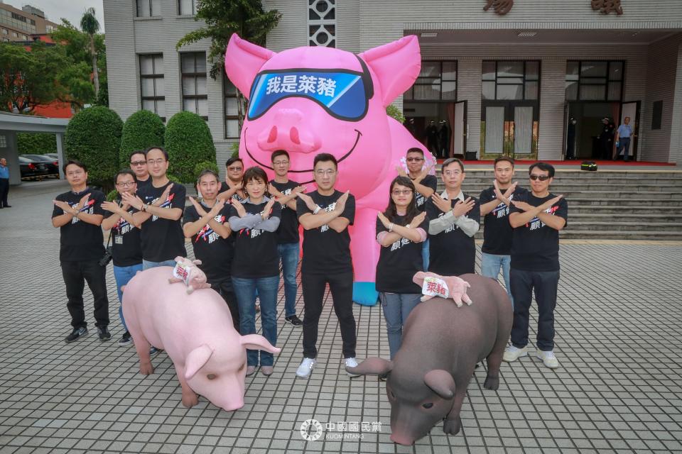 國民黨為了抗議美豬美牛進口，特別搬出外型逼真的「豬隊友」道具，持續杯葛立法院議事12次。（圖／翻攝自國民黨 臉書）