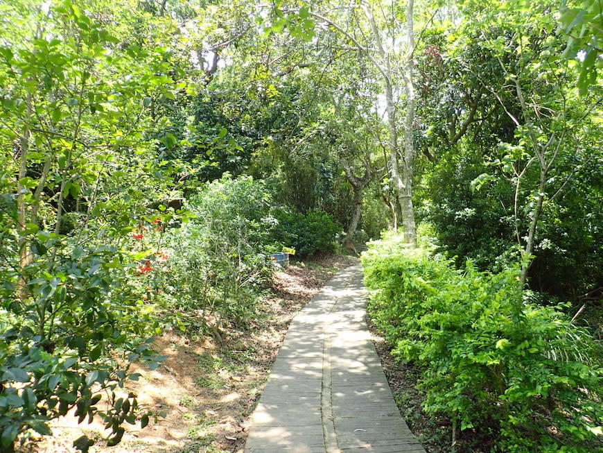 苗栗老崎古道（頭份後花園步道）